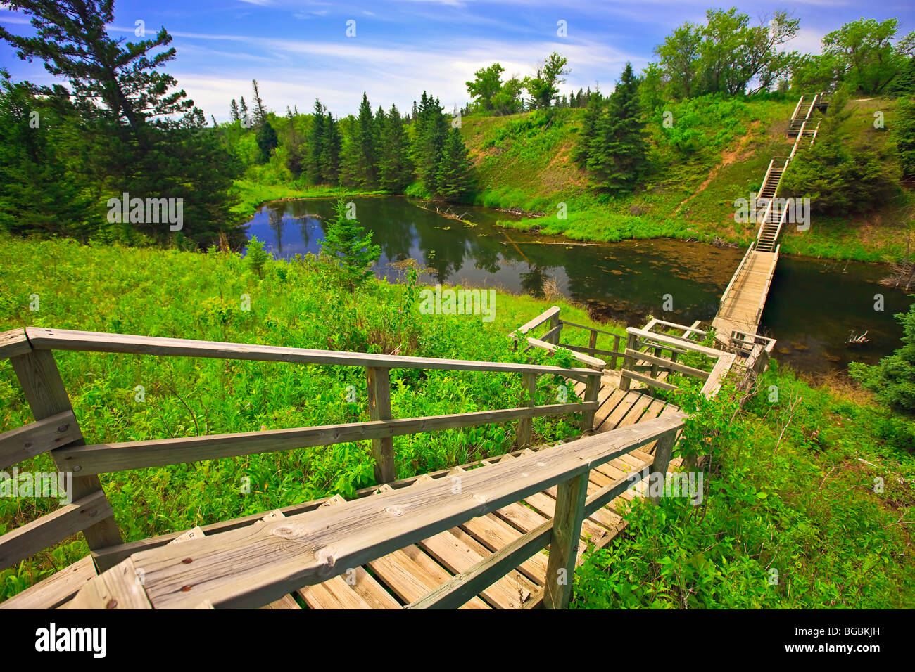 Devils Punch Bowl in the Spirit Sands, Spruce Woods Provincial Park, Manitoba, Canada. Stock Photo