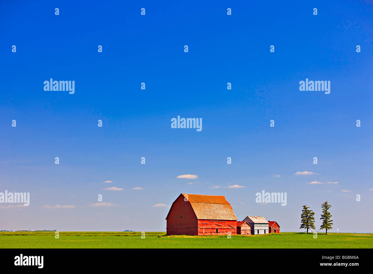 Red barns in the middle of a large flat field in the prairie land of southern Saskatchewan, Canada. Stock Photo