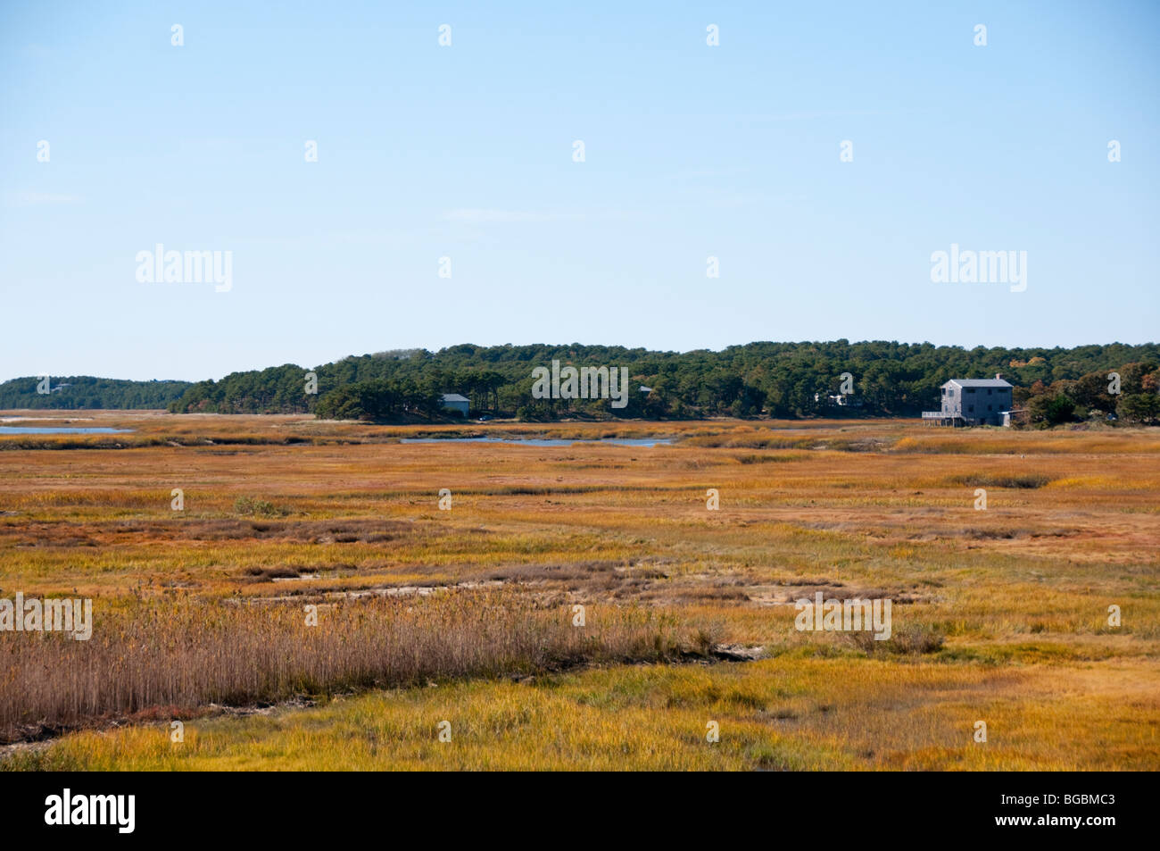 Popular bird watching areas hi-res stock photography and images - Alamy