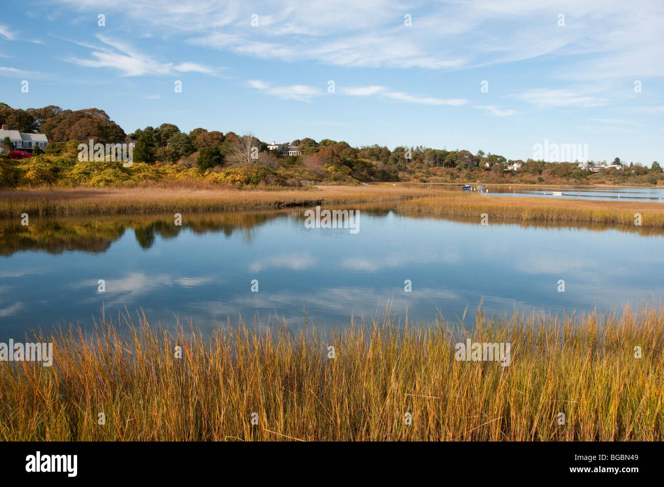 Popular bird watching areas hi-res stock photography and images - Alamy
