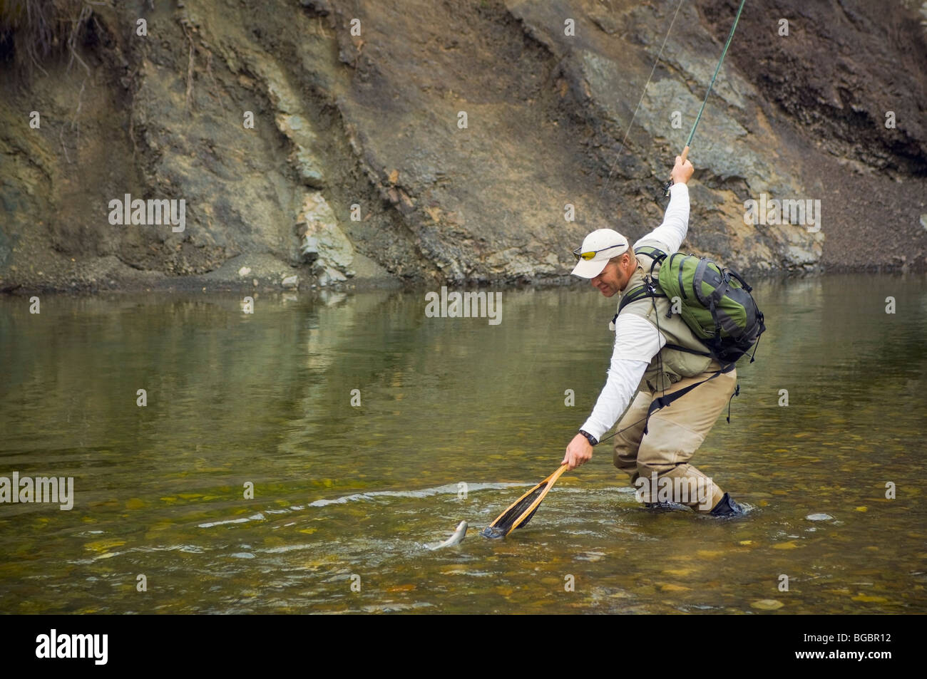 Man catching trout while fly fishing; Nordegg, Alberta, Canada Stock