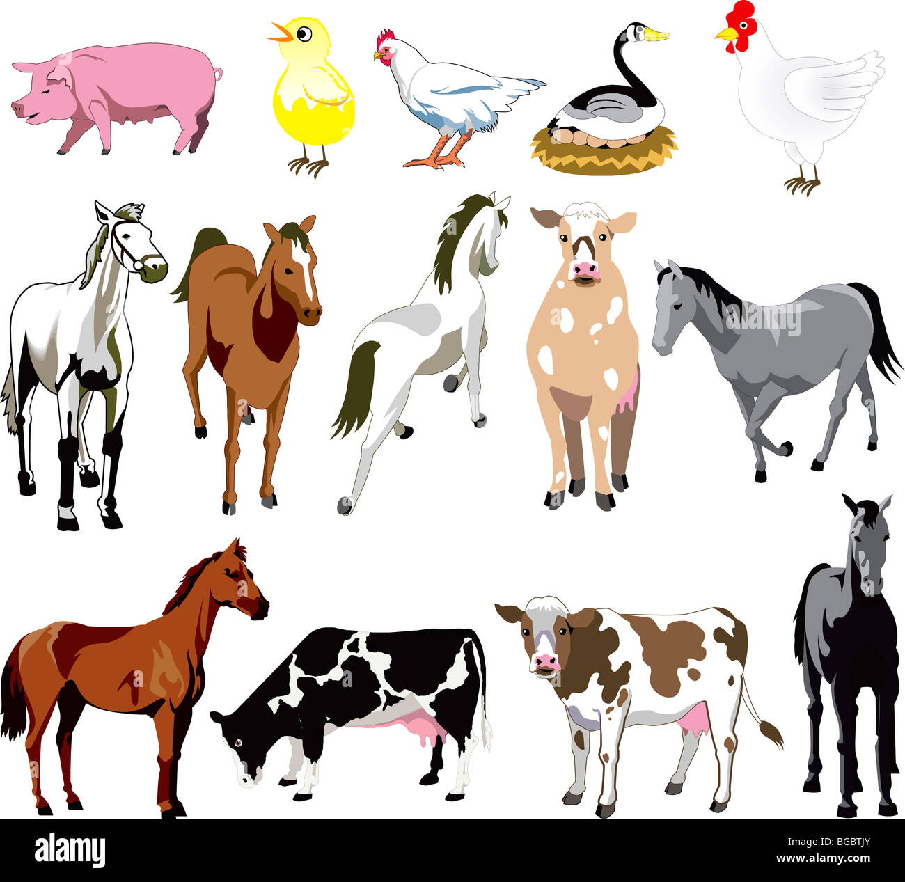 Vector Ilustration of 14 Farm Animals birds, and mammals. Stock Photo