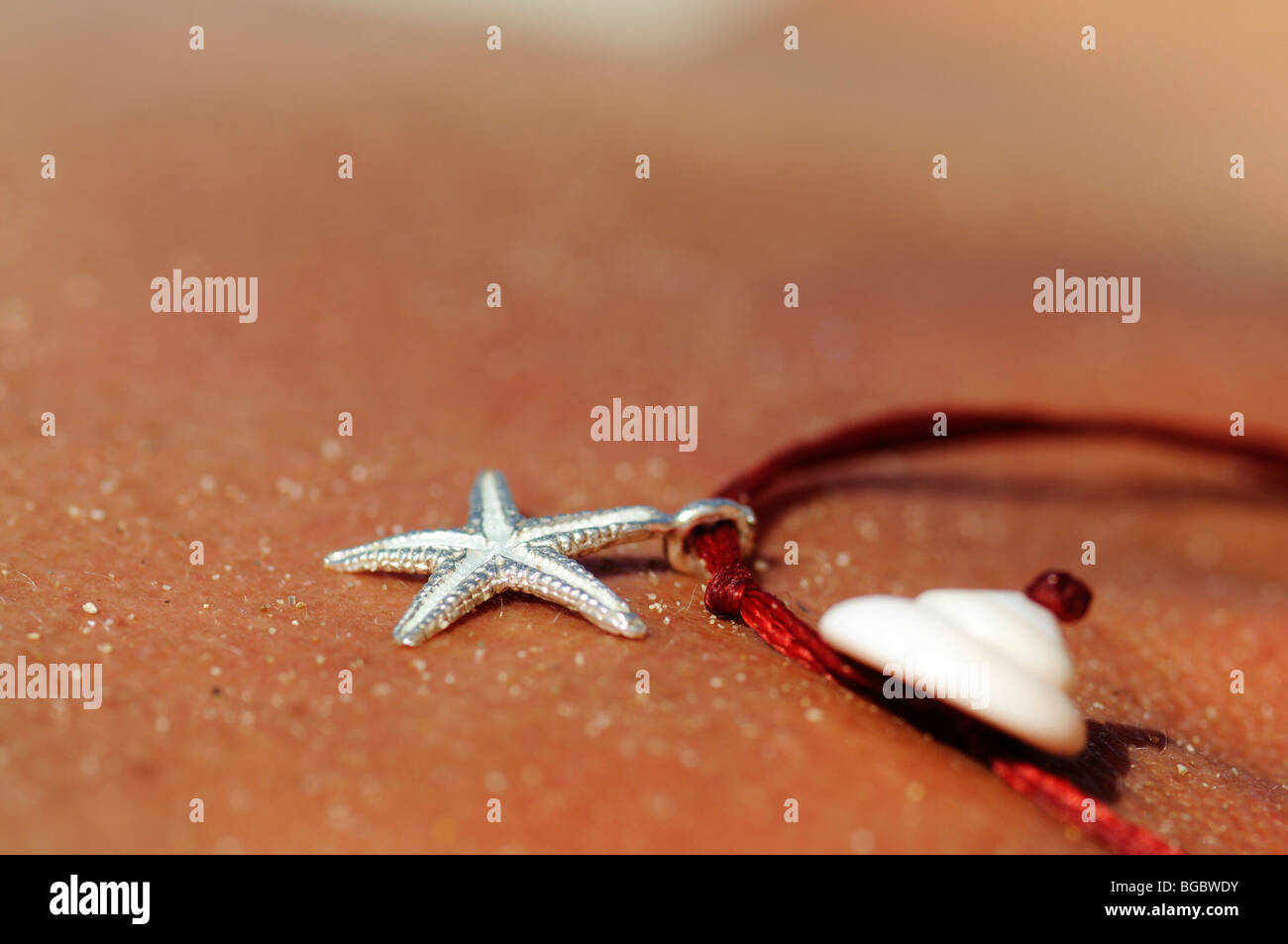 Starfish, shells, jewelry, necklace, skin, Ibiza, Pine Islands, Balearic Islands, Spain, Europe Stock Photo