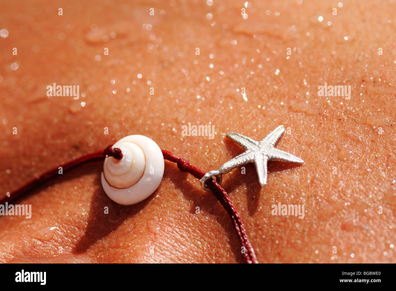 Starfish, shells, jewelry, skin, Ibiza, Pine Islands, Balearic Islands, Spain, Europe Stock Photo