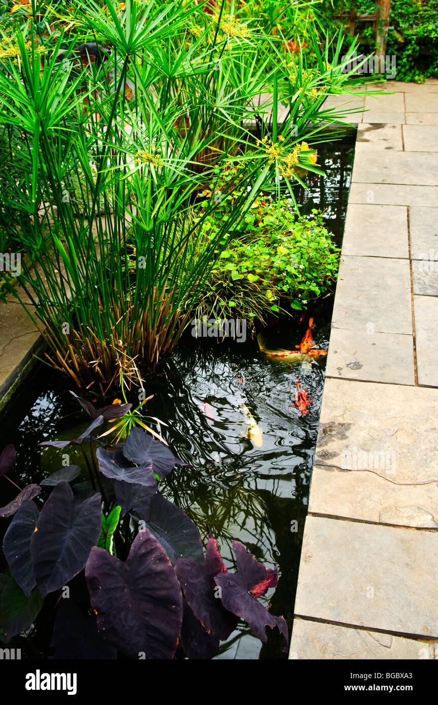 Lush green garden with stone landscaping and koi pond Stock Photo