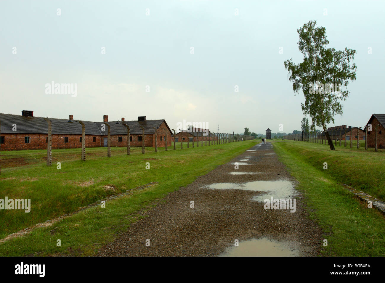 Camp Blocks at Auschwitz II-Birkenau extermination camp, Oświęcim ...