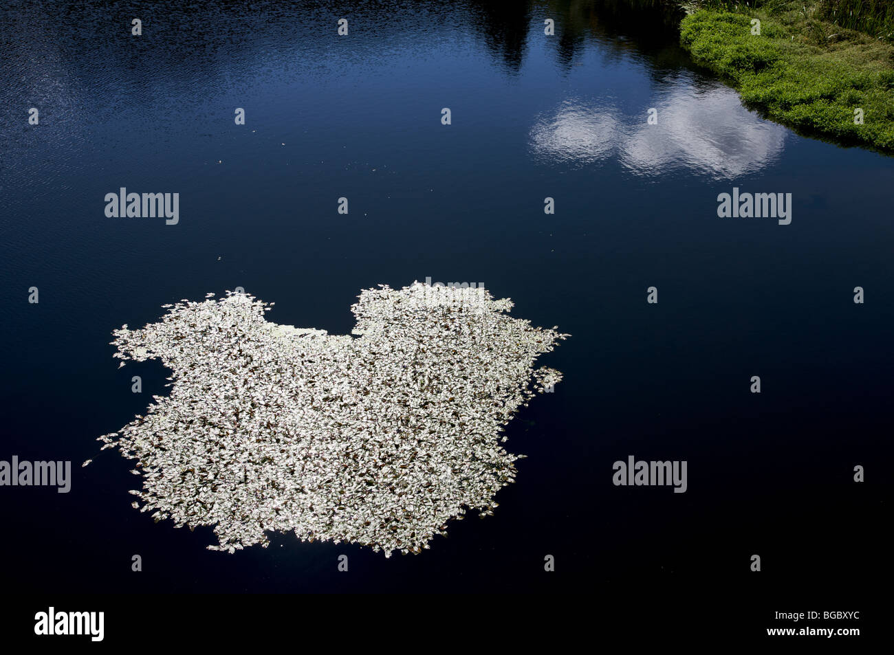 Solar power plants spain hi-res stock photography and images - Alamy