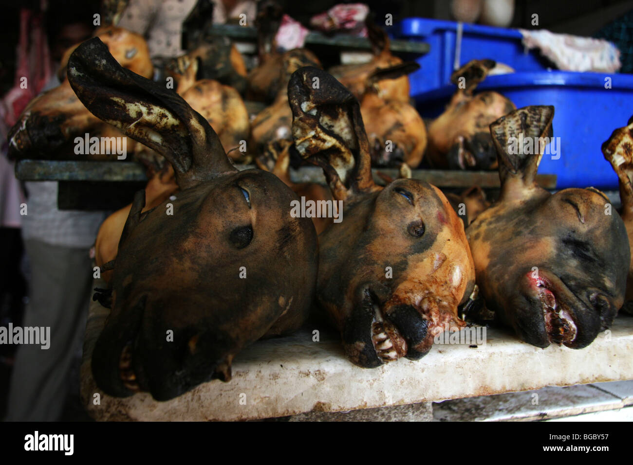 Seared sheep heads are offered for sale at a market in Bangalore, India. The heads are enjoyed as a local delicacy. Stock Photo