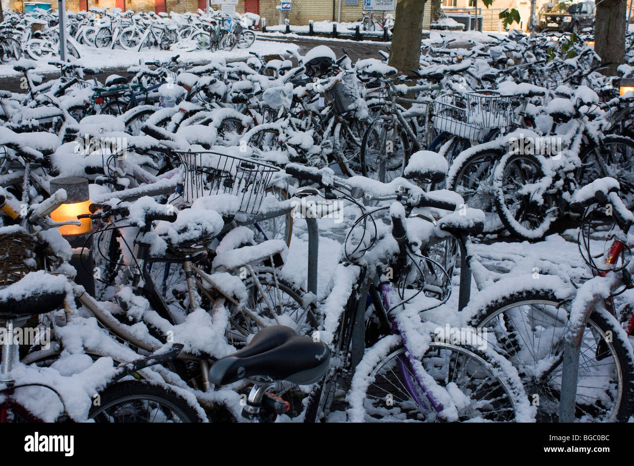 cambridge blue cycles