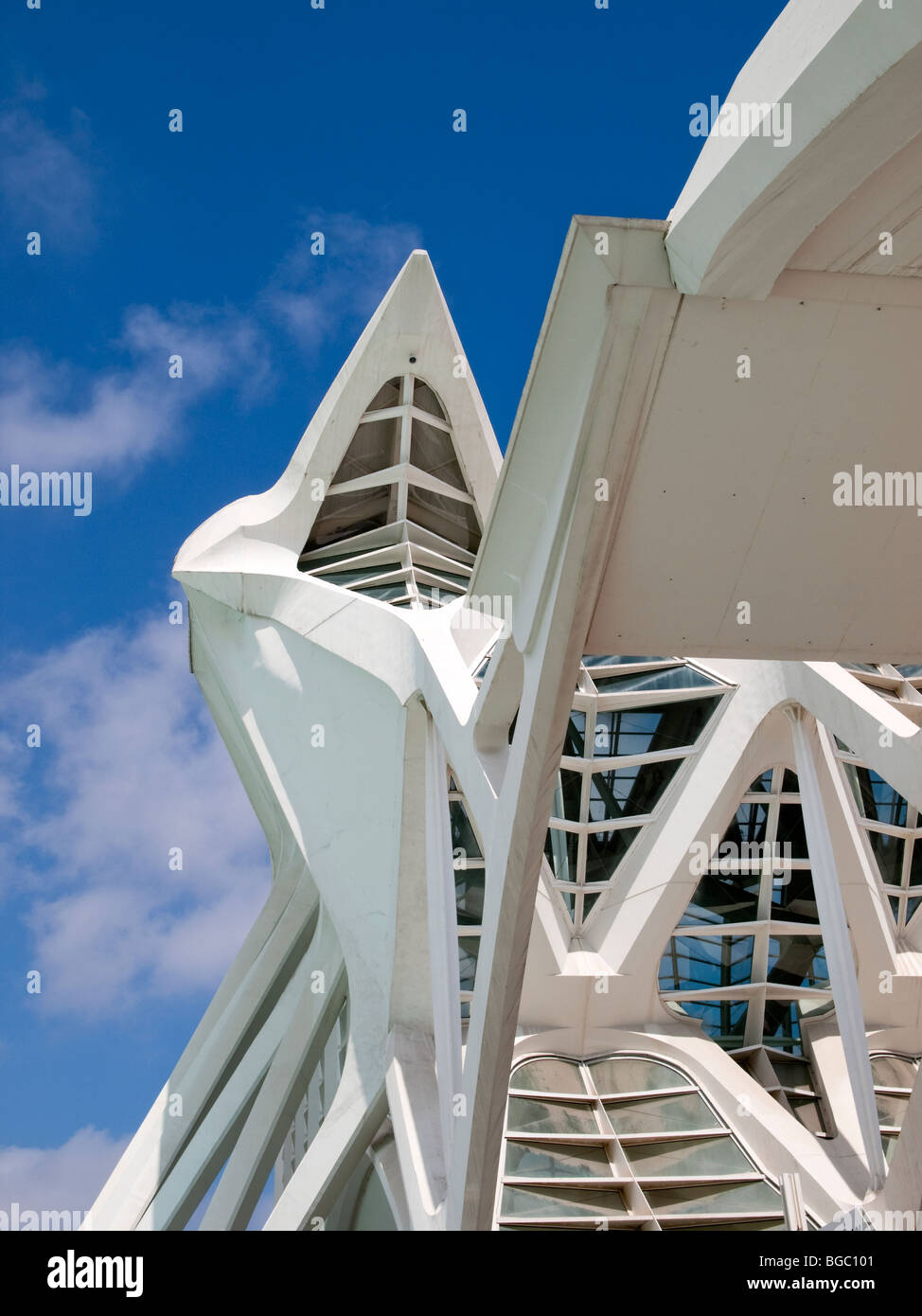 Outside detail of the Príncipe Felipe Science Museum Stock Photo - Alamy