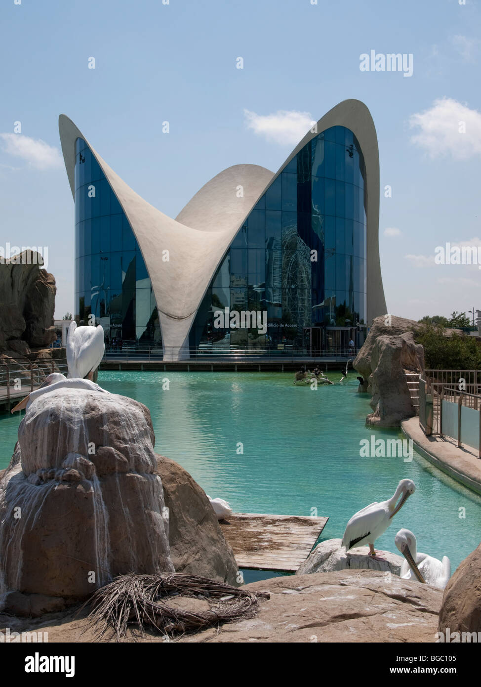 The Oceanográfico of the City of Arts and Sciences, Valencia, Spain Stock Photo