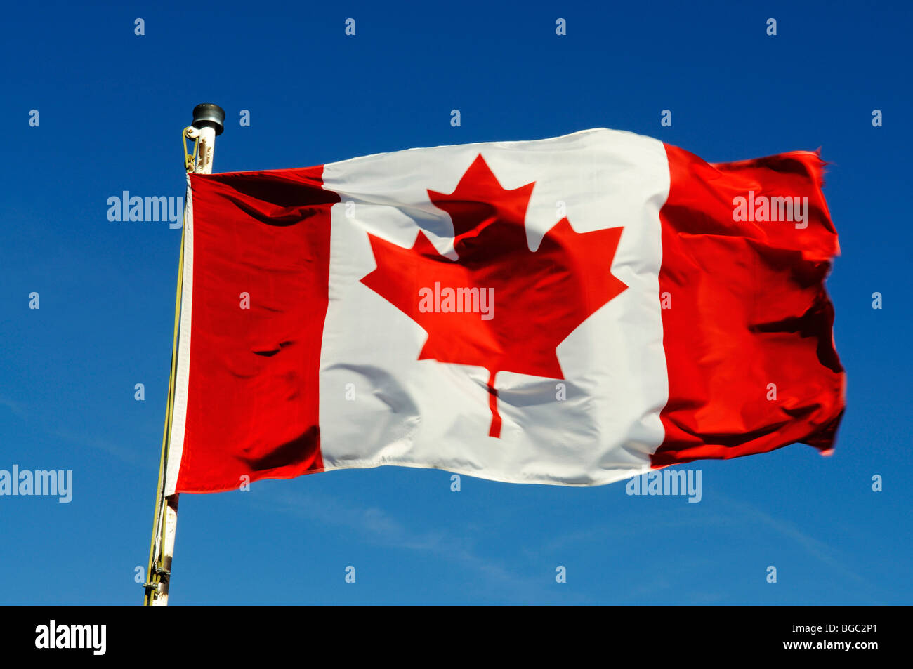Canadian flag Stock Photo