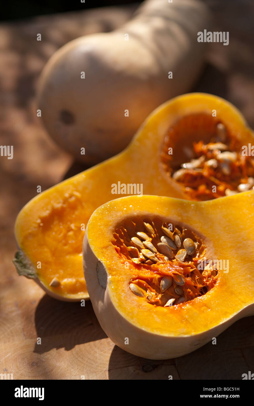 Butternut squash seeds hires stock photography and images Alamy
