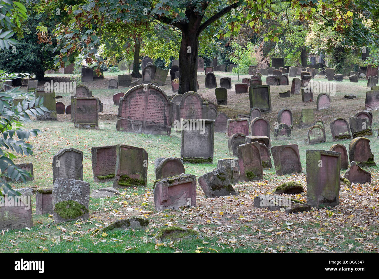 The Heiliger Sand Jewish Cemetery in Worms, Rhineland-Palatinate, Germany, Europe Stock Photo