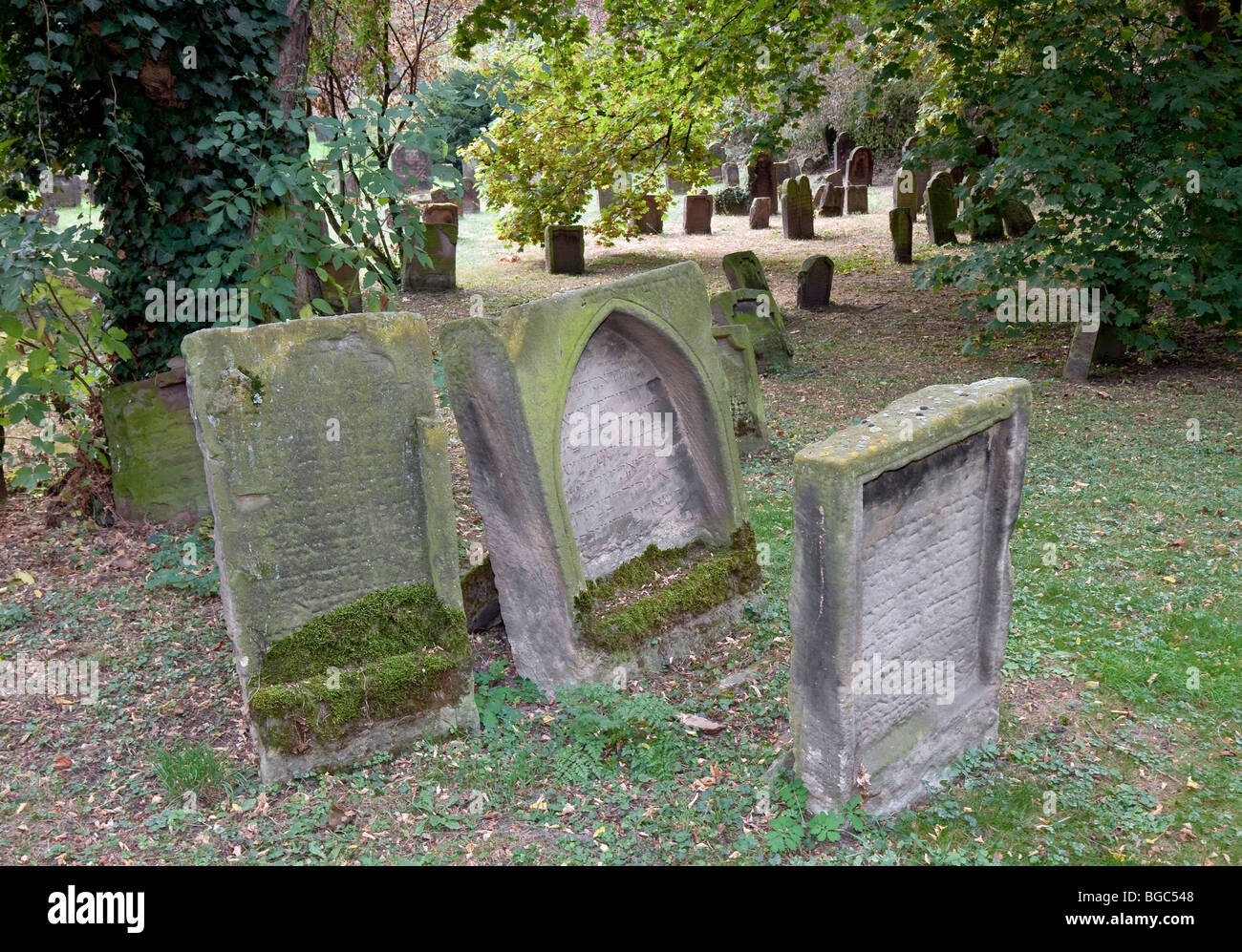 The Heiliger Sand Jewish Cemetery in Worms, Rhineland-Palatinate, Germany, Europe Stock Photo