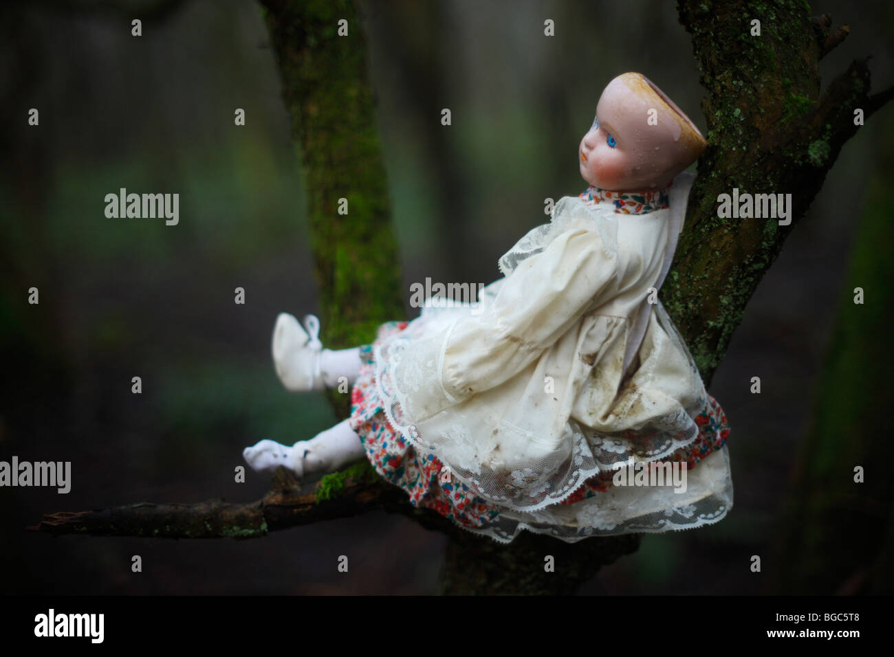 Toy doll in dark woods. Stock Photo