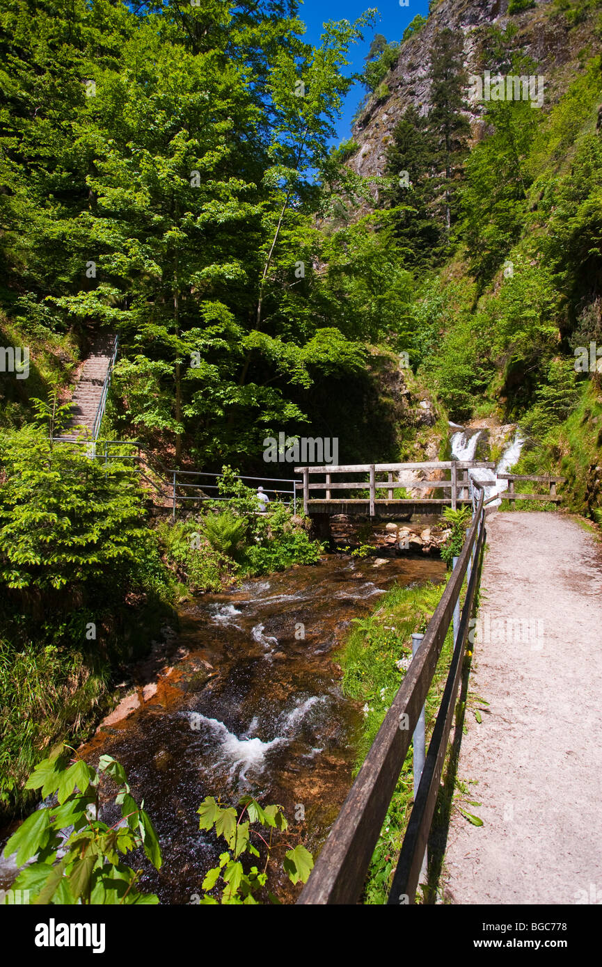 Lierbach river at the Allerheiligenwasserfaelle, All Saints' Waterfalls, Oppenau, Black Forest, Baden-Wuerttemberg, Germany, Eu Stock Photo