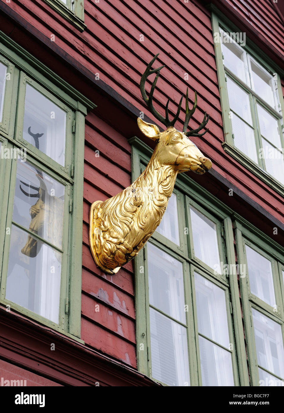 Golden elk head on the facade of an old trading house, Bryggen, Hanseatic area district of Bergen, Norway, Scandinavia, Norther Stock Photo
