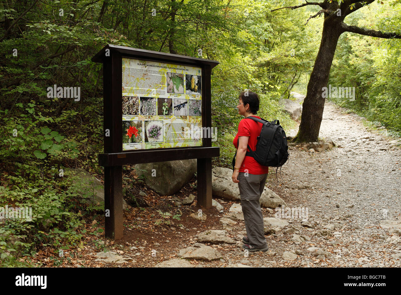 Woman with a backpack in front of an information panel, Velika Paklenica Canyon, Paklenica National Park, Velebit Mountains, Da Stock Photo