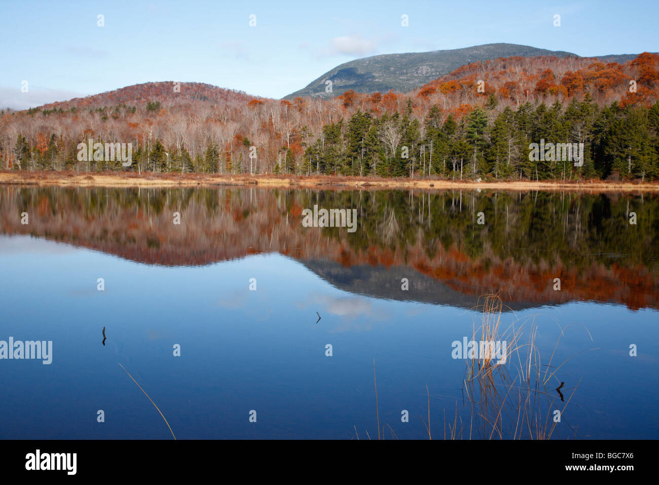 Sandwich Wilderness Guinea Pond during the autumn months in Sandwich