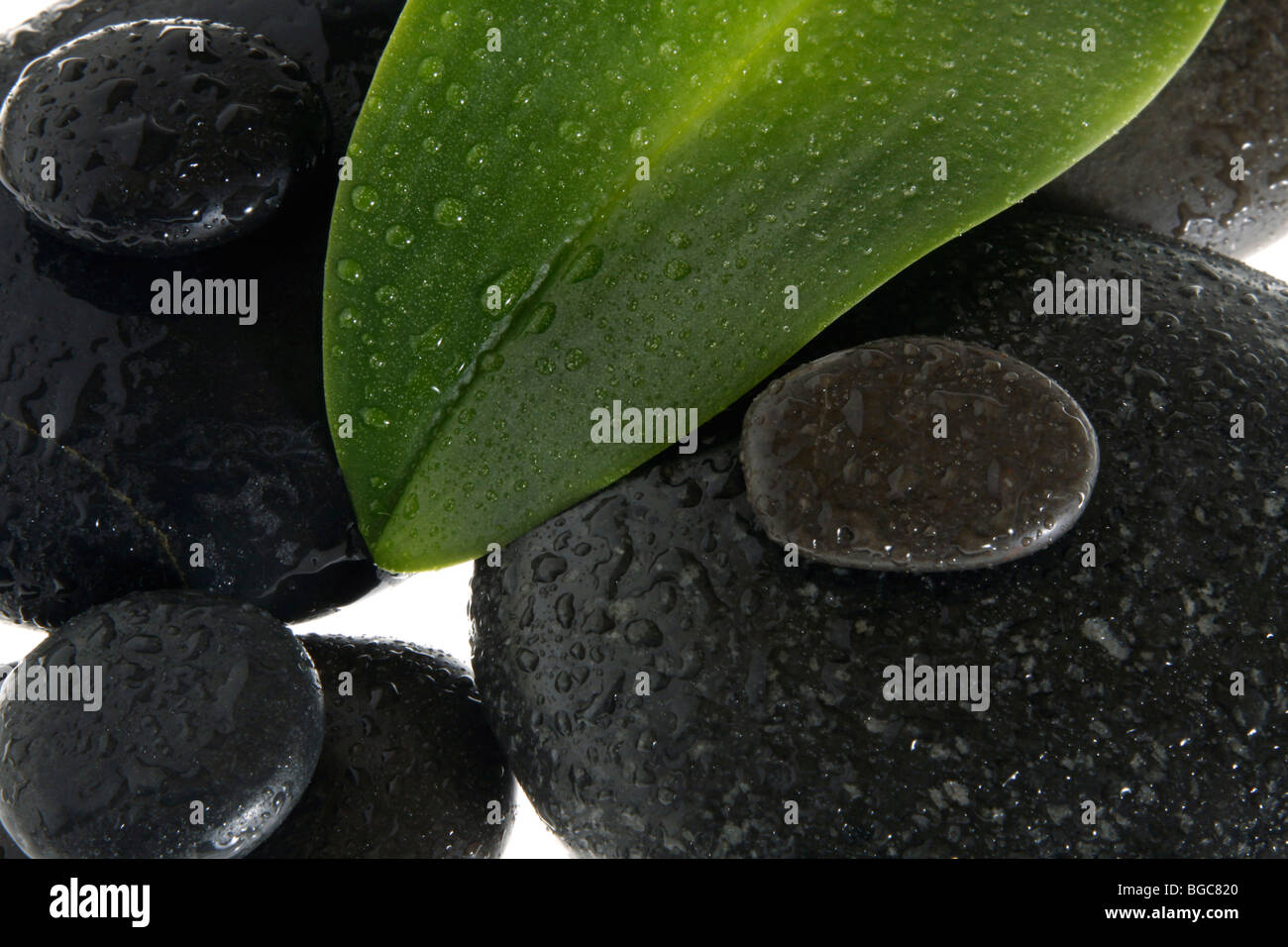 All sizes of volcanic stones hi-res stock photography and images - Alamy