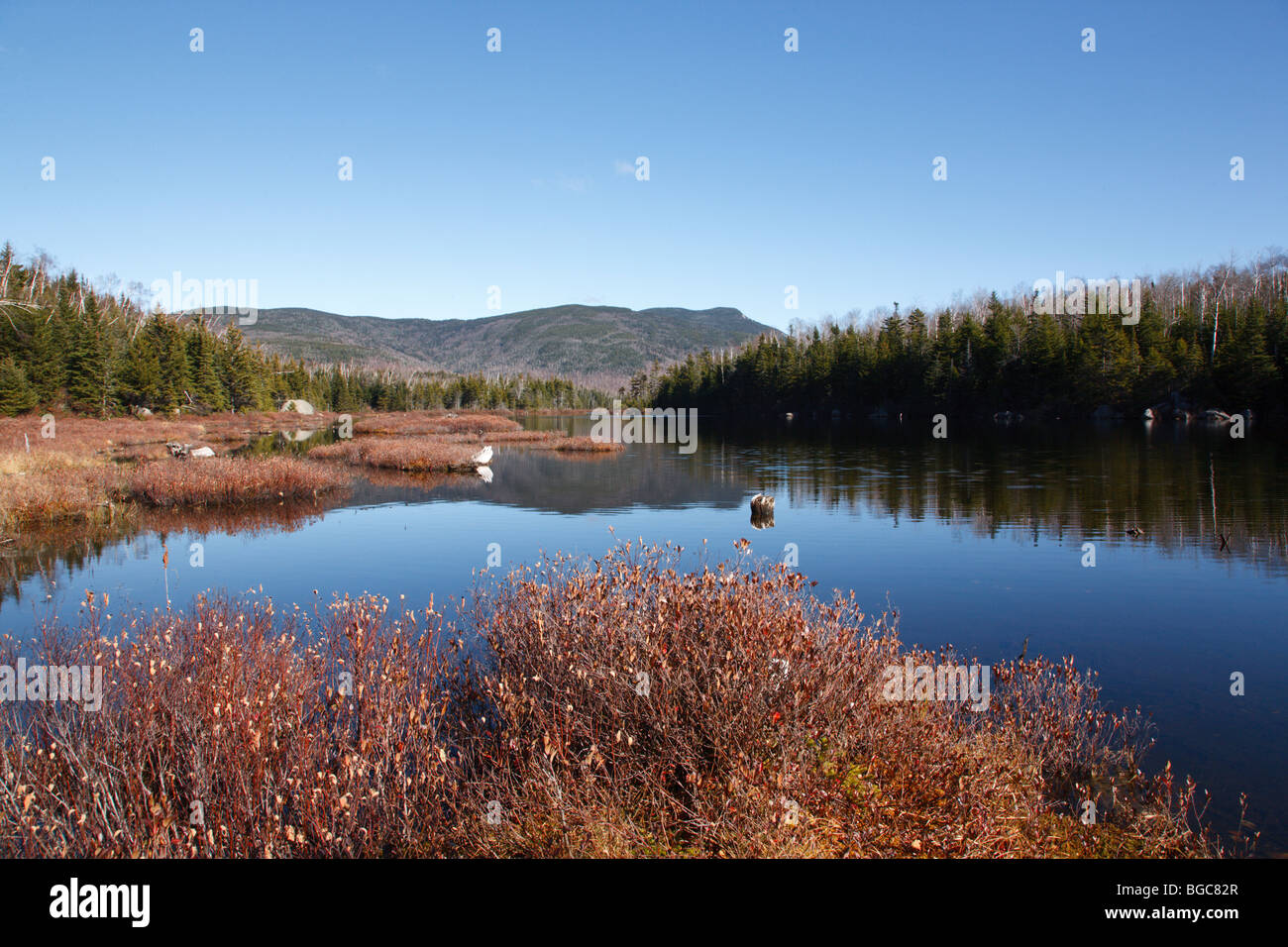 Sandwich Wilderness Flat Mountain Ponds during the autumn months in