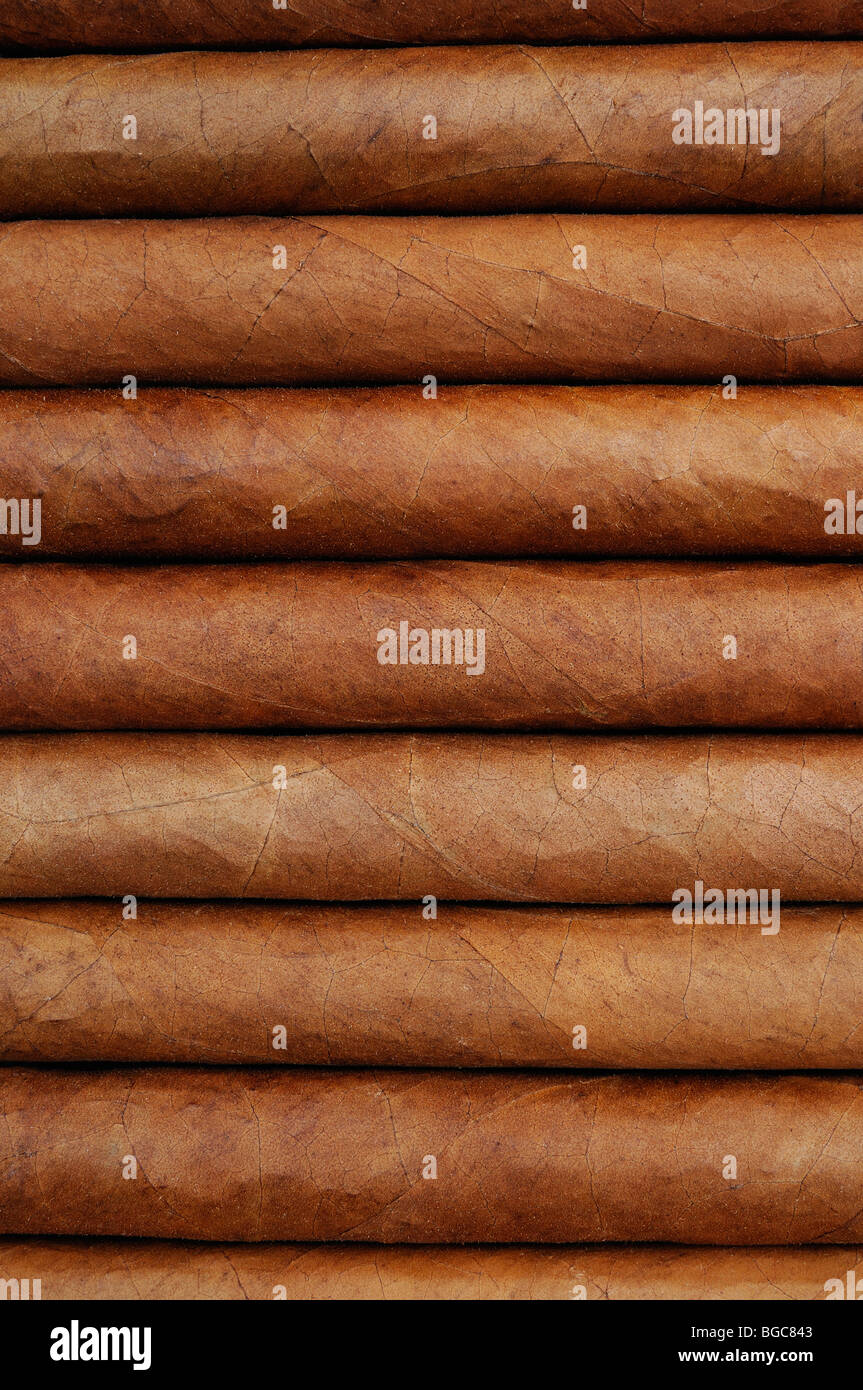 Cigars, Close Up. Stock Photo