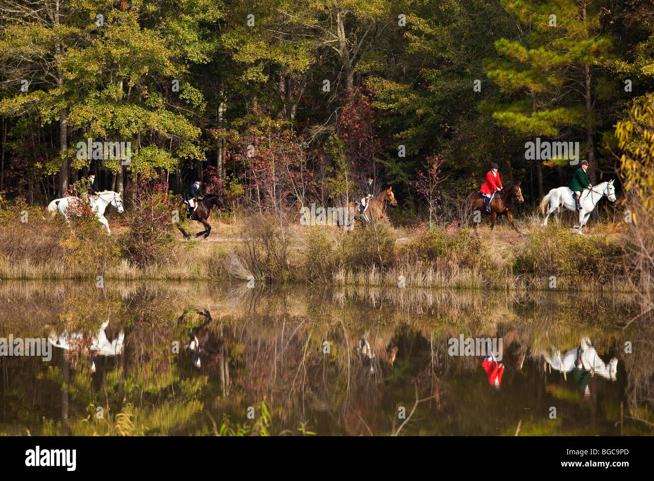 Middleton Hunt Fox hunters lead the hounds at the Middleton Place Fox Hunt at ...