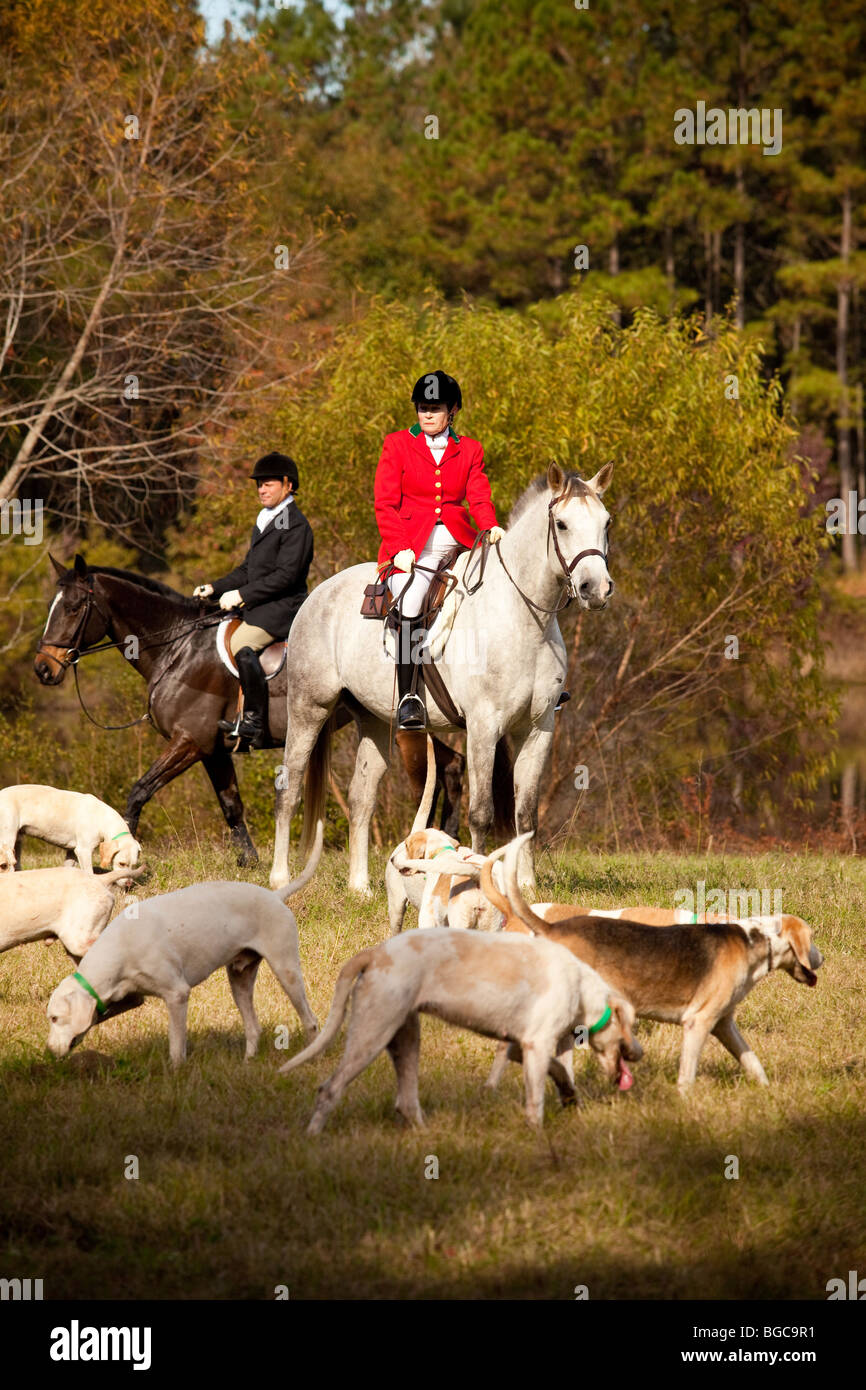 Fox hunt hi-res stock photography and images - Alamy