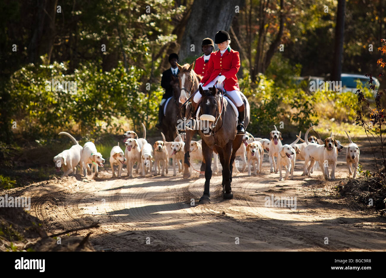 Middleton Hunt Fox hunters lead the hounds at the Middleton Place Fox Hunt at ...