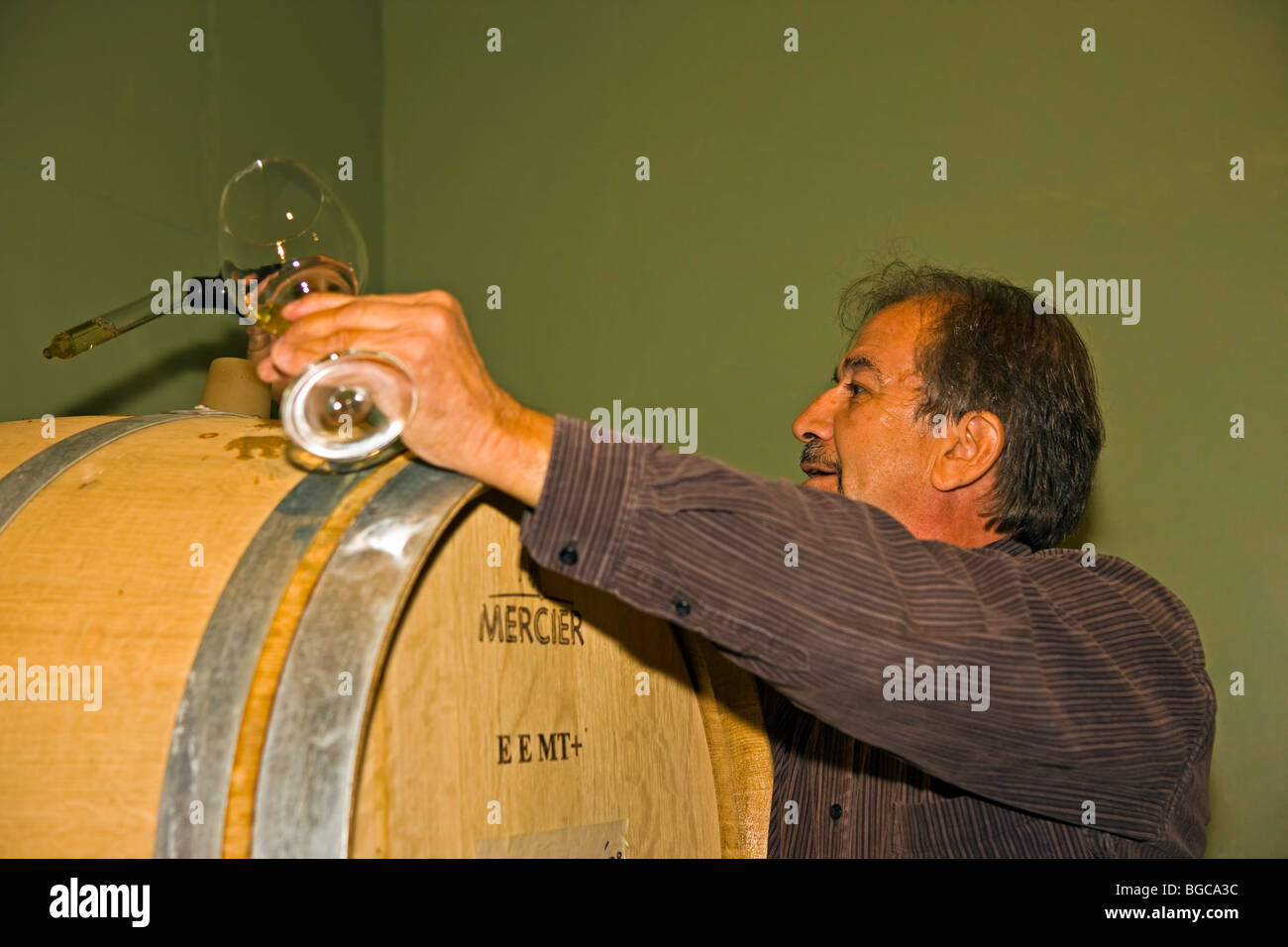 Winemaker demonstrating barrel testing of a Gewuerztraminer wine at Bonitas Winery, Summerland, Okanagan-Similkameen Region, Oka Stock Photo