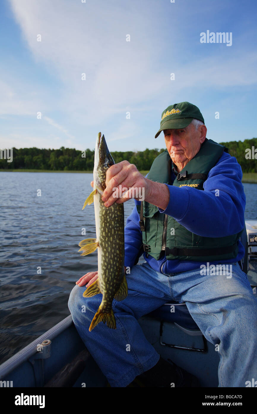 seasoned elderly senior fishing guide holding northern pike Stock Photo