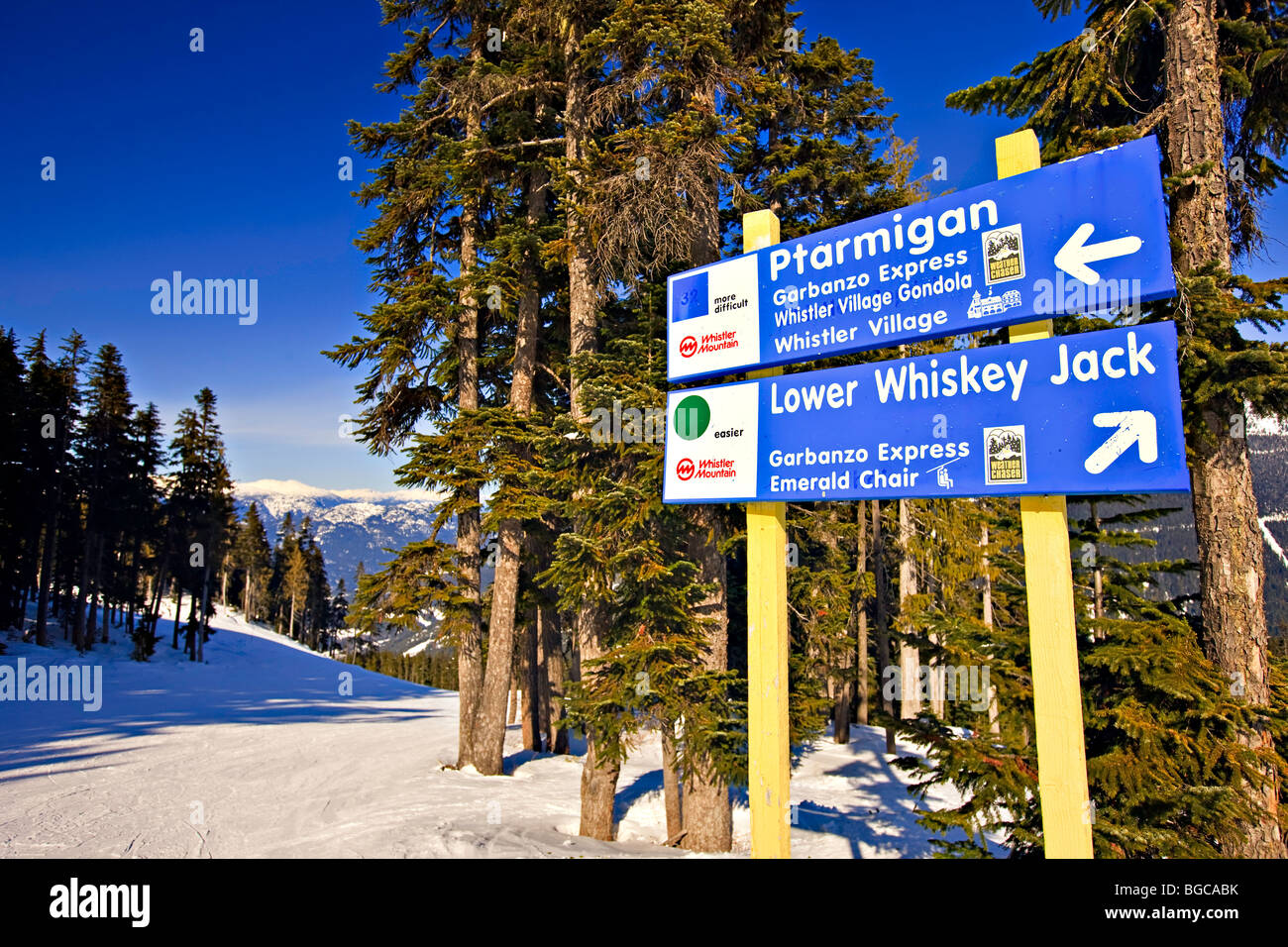 Trail signs for the Ptarmigan and Lower Whiskey Jack ski trails on
