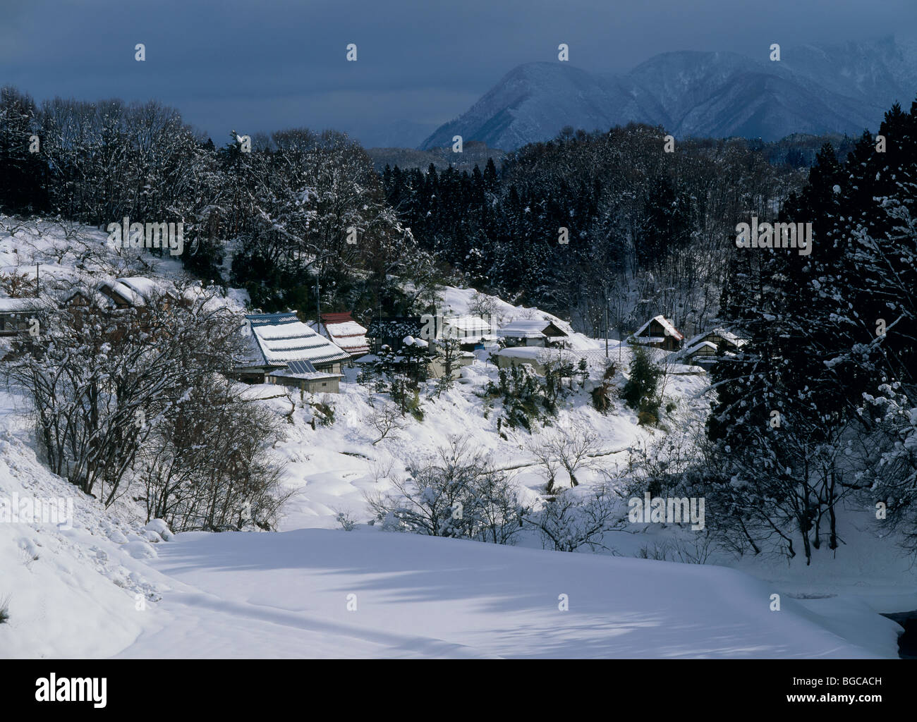 Snowscape, Nakano, Nagano, Japan Stock Photo