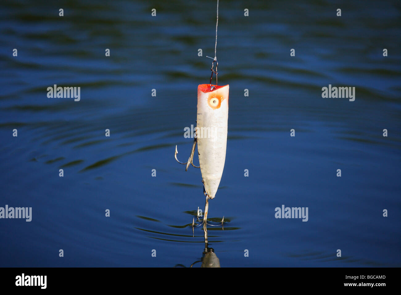 heddon chugger spook XRW 9540 fishing lure being fished on surface of water  large mouth bass lure Stock Photo - Alamy