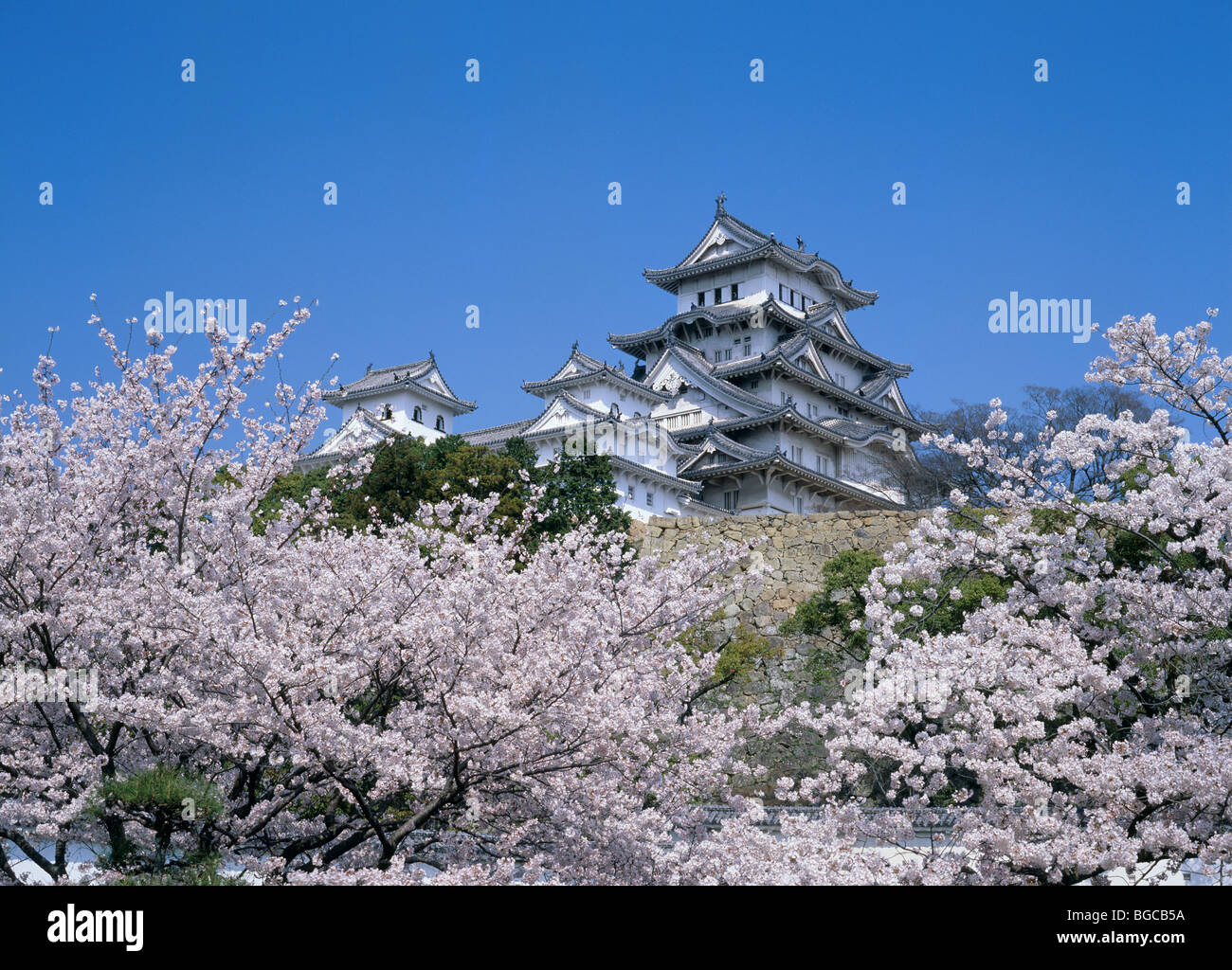 Himeji Castle, Himeji, Hyogo, Japan Stock Photo Alamy