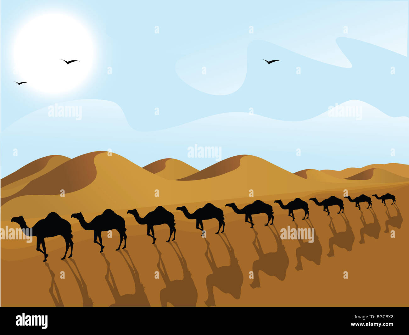 silhouette view of row of camels in a desert Stock Photo