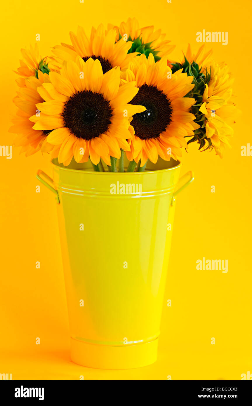 Bouquet of sunflowers in yellow metal vase Stock Photo - Alamy