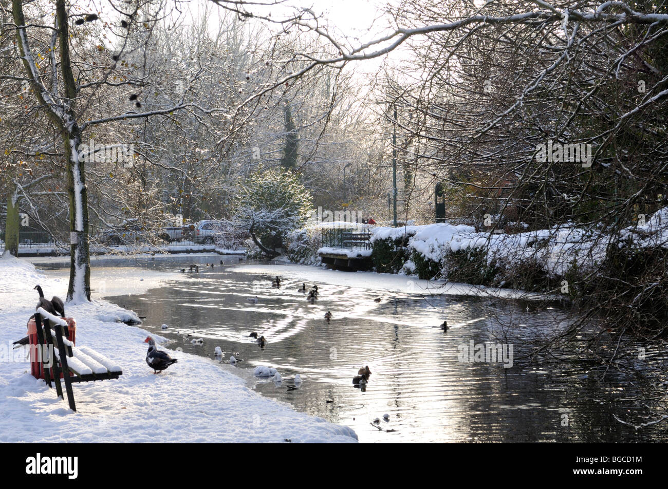 River Gade in winter, Hemel Hempstead, Hertfordshire, UK. Stock Photo
