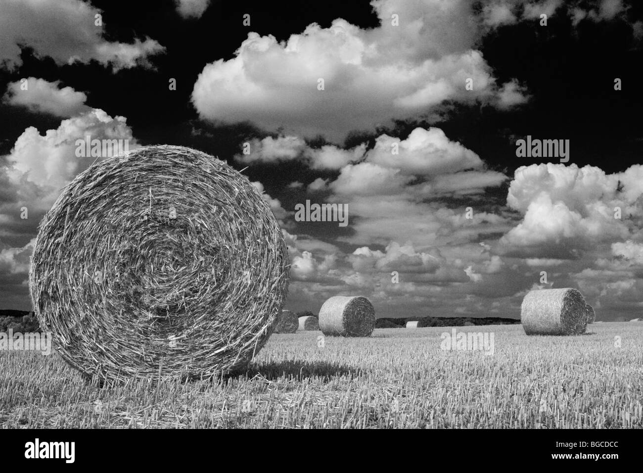 Bales of hey in black and white, England, UK Stock Photo