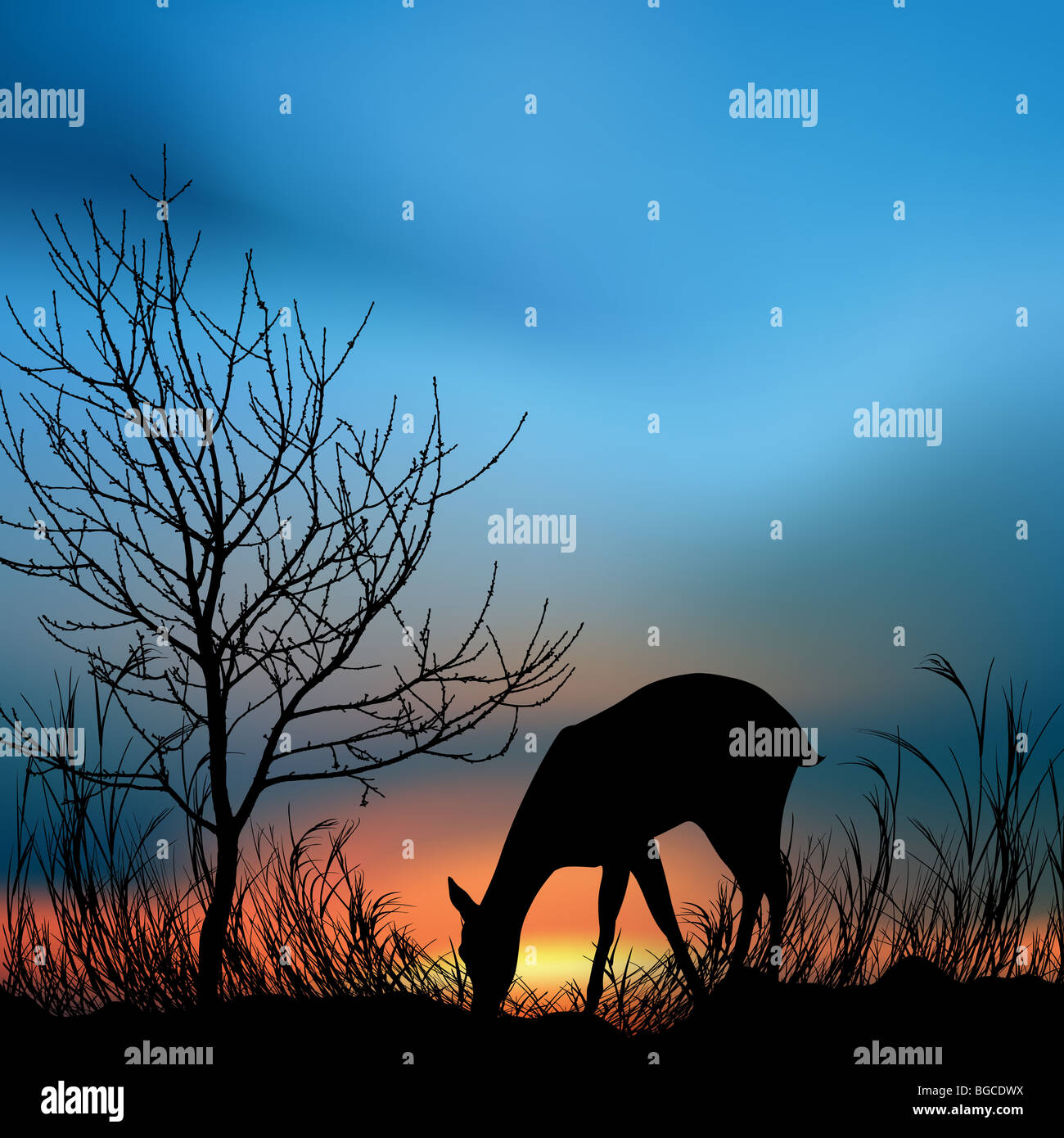 silhouette view of a deer eating grass Stock Photo