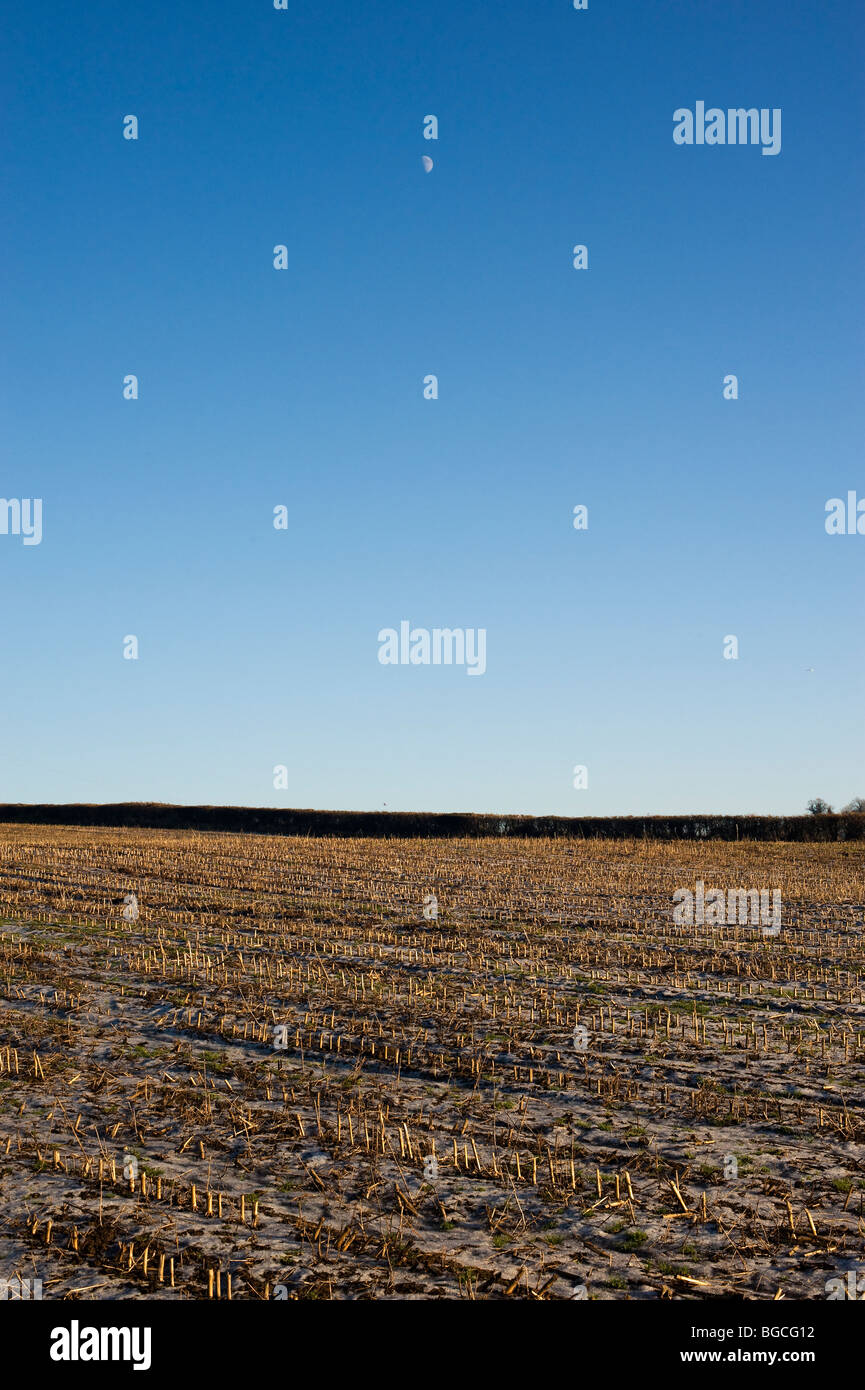 Frozen Landscape with crescent moon in blue sky (Christmas Day 2009 in Paulton, Bristol, Somerset) Stock Photo