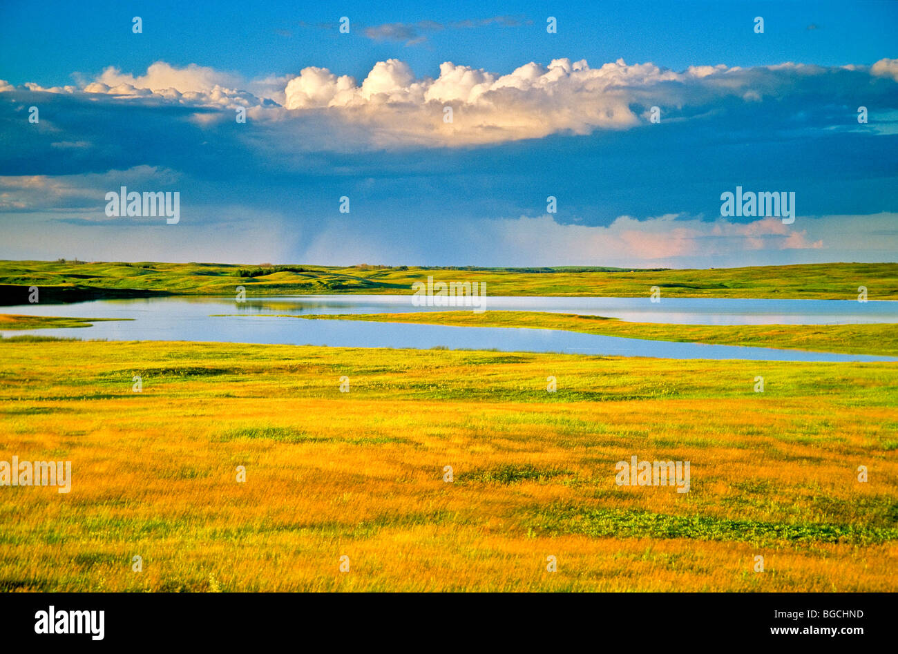 Rain storm over prairie with pothole ponds at Lostwood National
