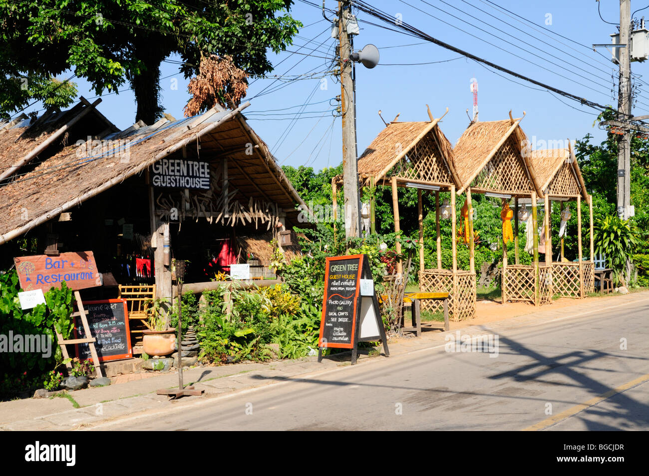 Thailand Chiang Khong Street Scene With Green Tree - 