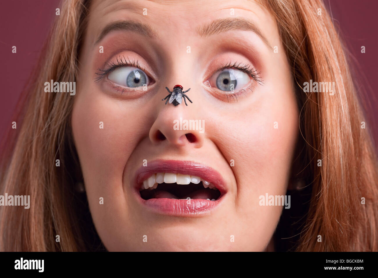 Portrait of a woman with a fly on her nose Stock Photo Alamy