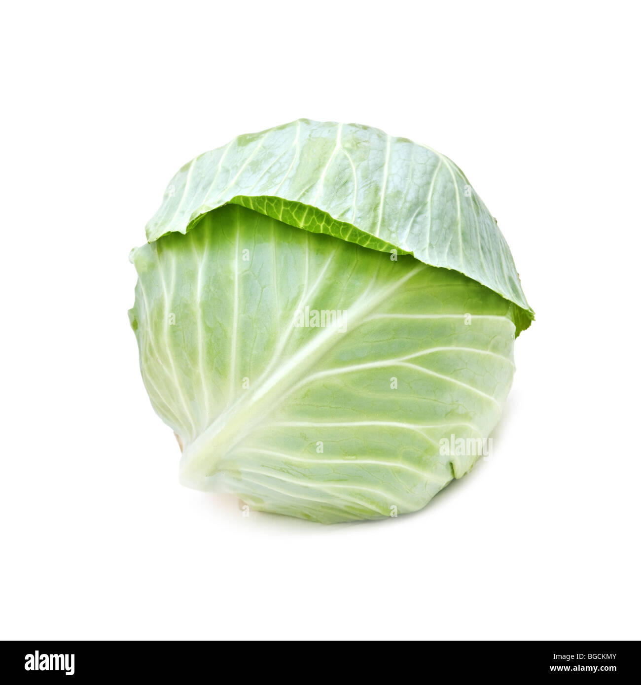 cabbage isolated on white Stock Photo