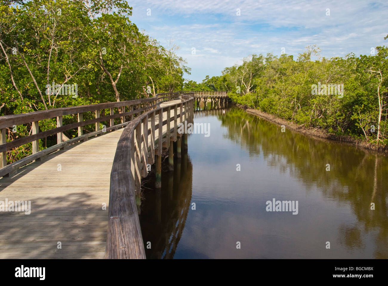 Boardwalk in the 400 acre Robinson Preserve in Manatee County in