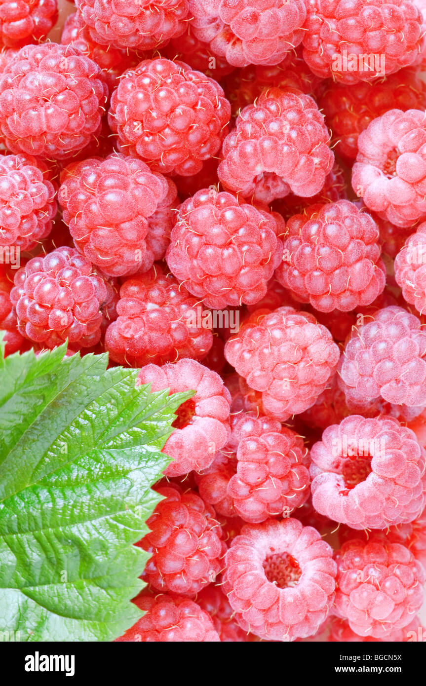 raspberry with leaf closeup Stock Photo - Alamy