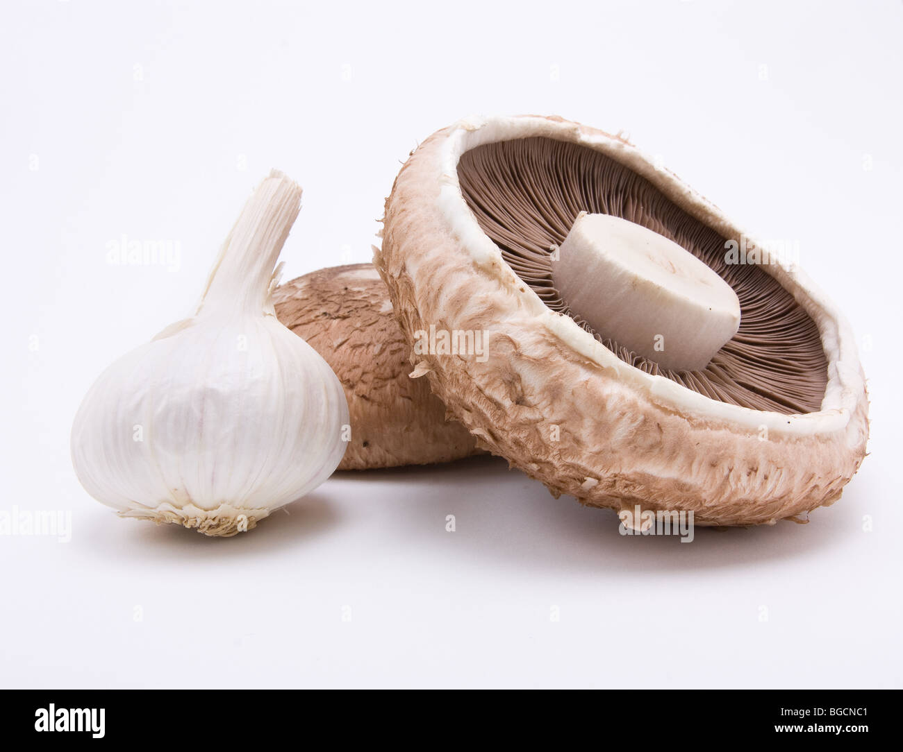 Portabello Mushroom and garlic bulb isolated against white background. Stock Photo