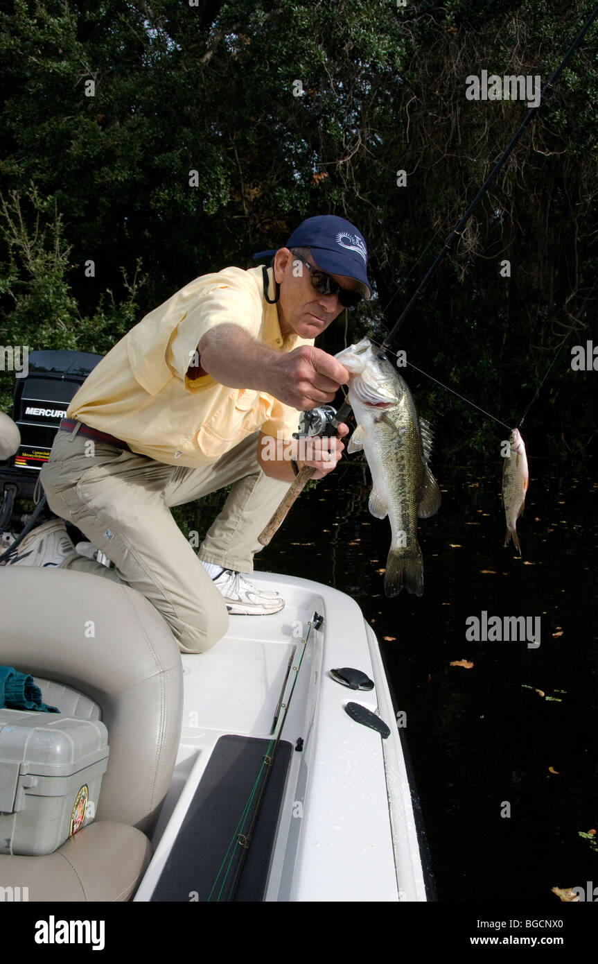 Bass angler lips a largemouth bass caught on a wild native shiner from a canal off a Florida lake. Stock Photo